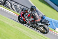 PJ-Motorsport-2019;donington-no-limits-trackday;donington-park-photographs;donington-trackday-photographs;no-limits-trackdays;peter-wileman-photography;trackday-digital-images;trackday-photos